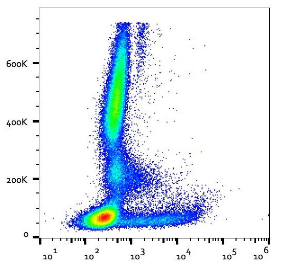 Anti-CD1c, clone L161 (PE )