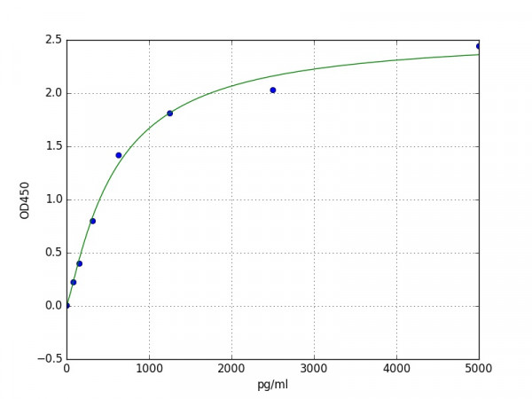 Human UCP1 ELISA Kit