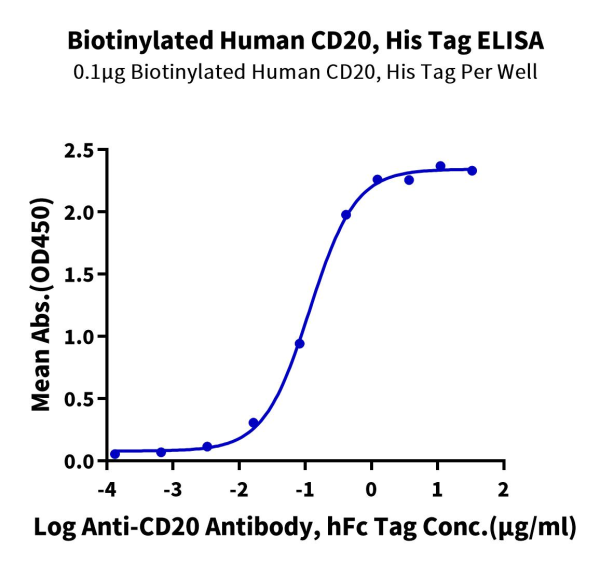 Biotinylated Human CD20/MS4A1 Protein