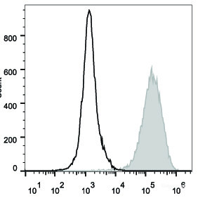 PE Anti-Mouse CD80 Antibody[16-10A1]