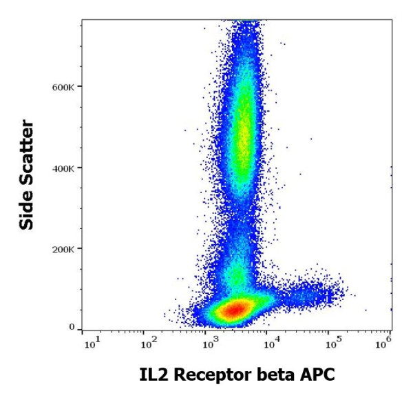 Anti-IL2 Receptor beta (APC), clone TU27
