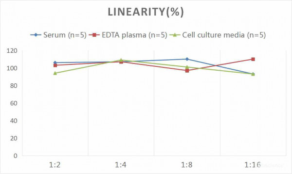 Mouse OPG (Osteoprotegerin) CLIA Kit