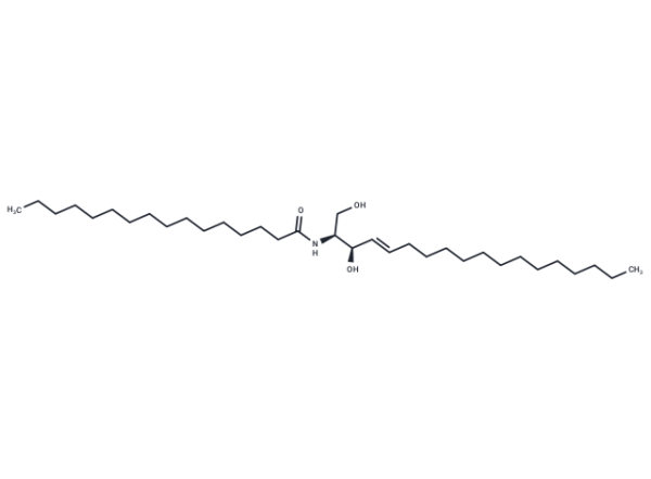 C16 Ceramide