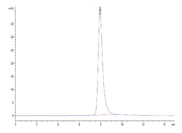 Mouse ACE2 Protein