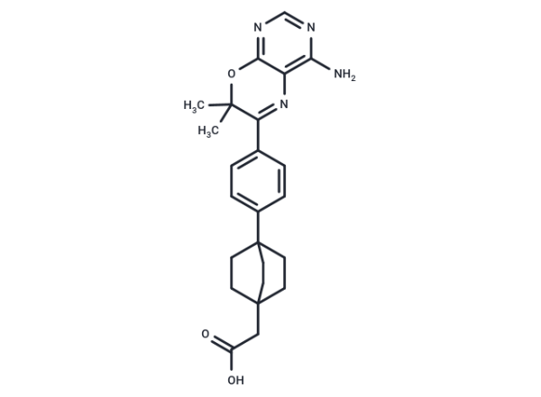 DGAT-1 inhibitor 2