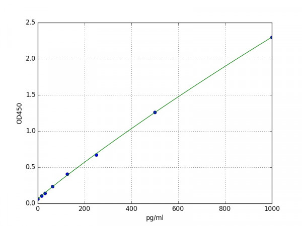 Human Amyloid Beta 40 / AB 1-40 ELISA Kit