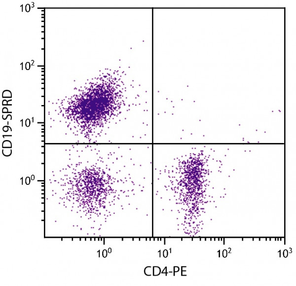 Anti-CD19 (Spectral Red), clone 6D5