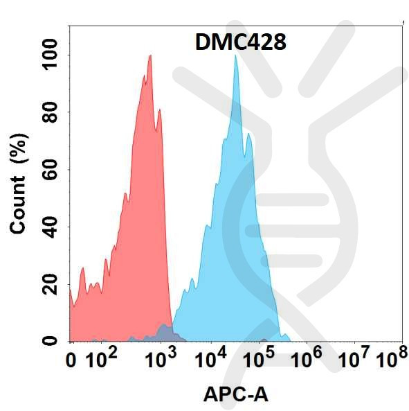 Anti-SSTR2 antibody(DMC428), IgG1 Chimeric mAb