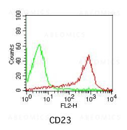 Anti-Human CD23 (Clone: 152-5E5)