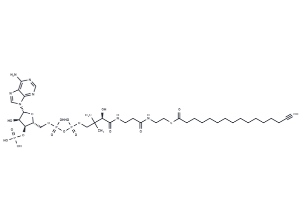 Palmitoyl Alkyne-Coenzyme A