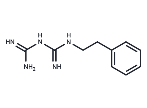 Phenformin