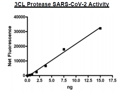 3CL Protease (SARS-CoV-2)