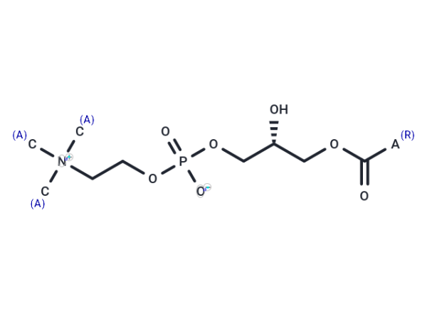 Lysophosphatidylcholines