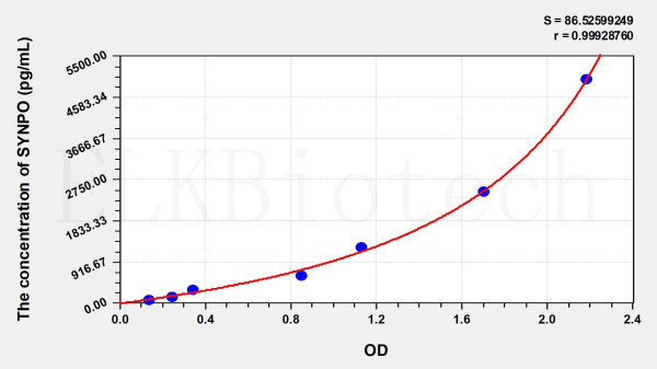 Human SYNPO (Synaptopodin) ELISA Kit