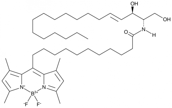 BODIPY-C12 Ceramide (d18:1/12:0)