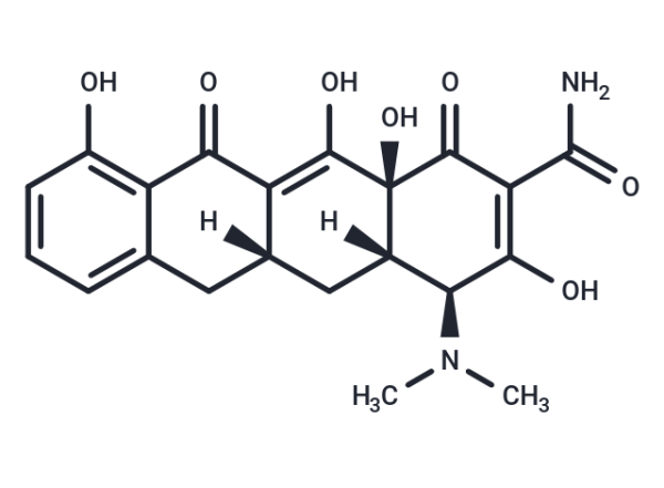 Sancycline