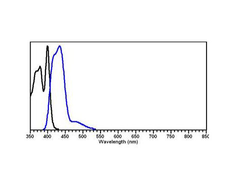 Protein A, DyLight 405 conjugated