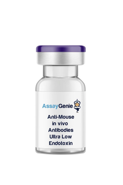 Anti-Mouse CD122 (IL-2Rbeta) In Vivo Antibody - Ultra Low Endotoxin