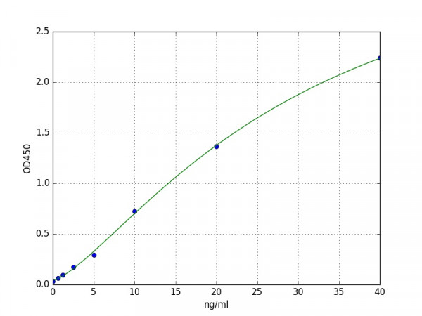 Human BACE1 / Beta secretase 1 ELISA Kit