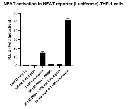 NFAT Reporter (Luciferase) - THP-1 Cell Line