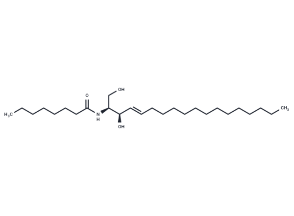 C8-Ceramide