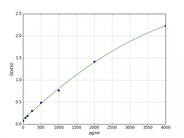 Human RIPK2 / Receptor TNFRSF Interacting Serine Threonine Kinase 2 ELISA Kit