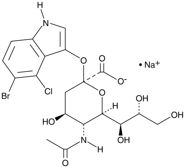 X-NeuNAc