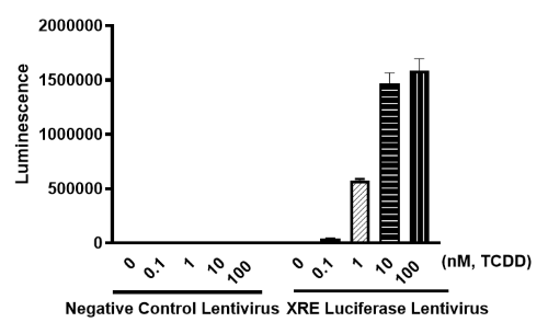 Xre Luciferase Reporter Lentivirus Ahr Signaling Bps Bioscience 9047