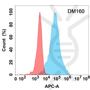 Anti-LAG3 antibody(DM160), Rabbit mAb