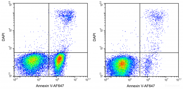 Annexin V-AF647 / DAPI Apoptosis Detection Kit