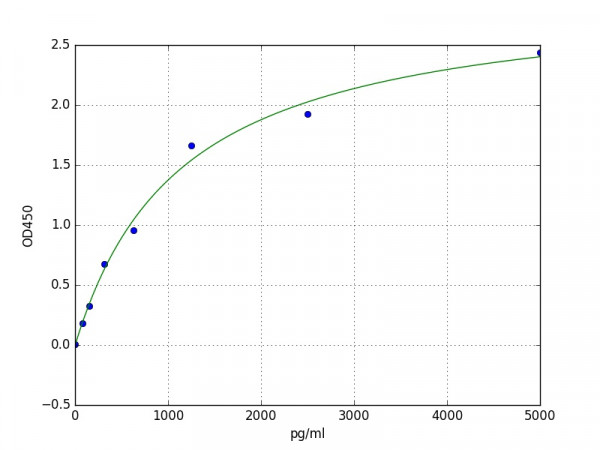 Human CBLB ELISA Kit