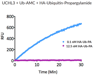 HA-Ubiquitin-propargylamide (human) (rec.) (HA)