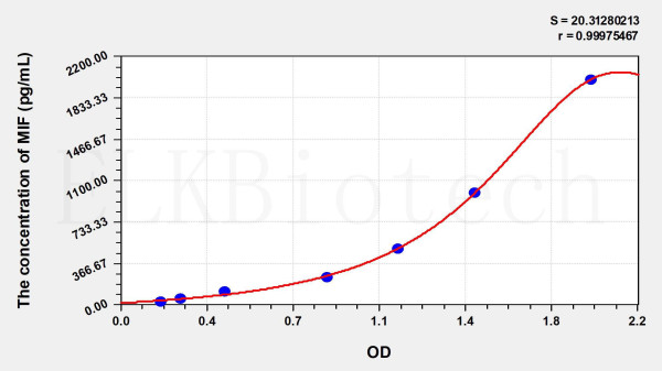 Rat MIF (Macrophage Migration Inhibitory Factor) ELISA Kit