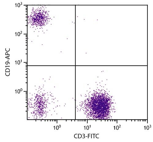 Anti-CD19 (APC), clone SJ25-C1