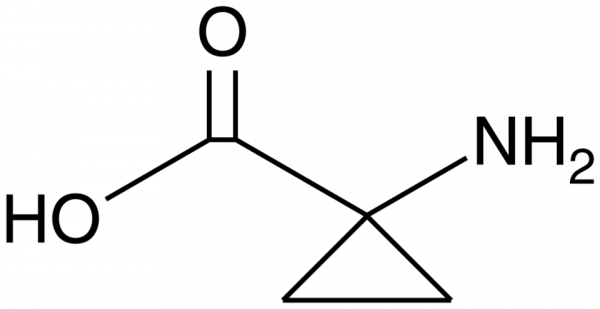 1-Aminocyclopropanecarboxylic Acid