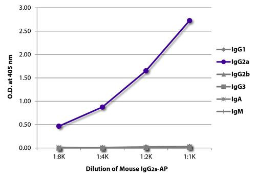 Mouse IgG2a Isotype Control antibody (AP), clone HOPC-1