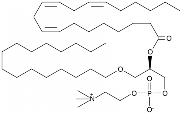 1-O-hexadecyl-2-Dihomo-gamma-Linolenoyl-sn-glycero-3-PC