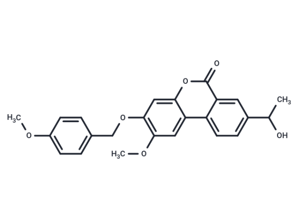 Palomid 529