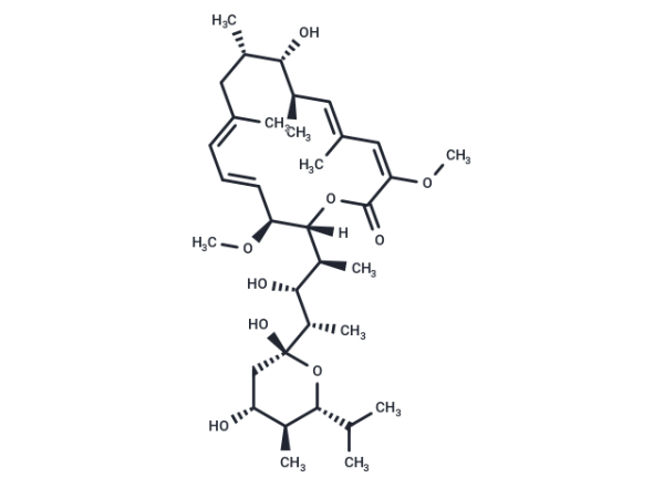 Bafilomycin A1