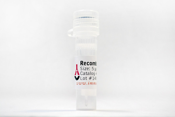 CXCL9 (MIG), rat recombinant