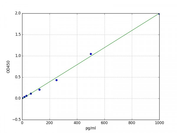 Mouse Semaphorin 3A / SEMA3A ELISA Kit