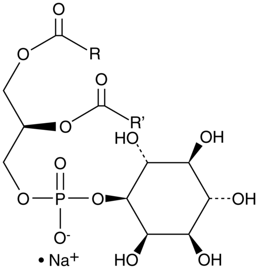 Phosphatidylinositol (plant, wheat germ) (sodium salt)