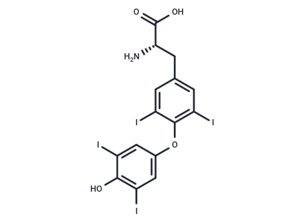 L-Thyroxine