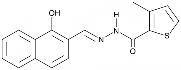 PCNA-I1