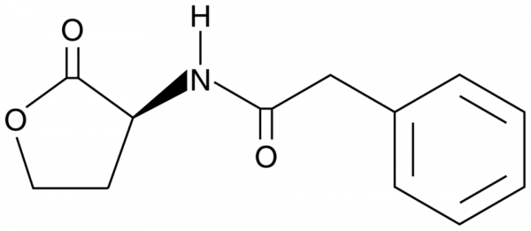 N-phenylacetyl-L-Homoserine lactone