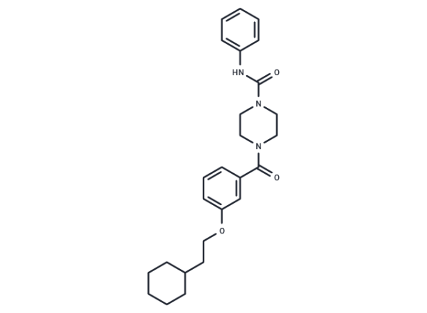 TM2 TEAD inhibitor