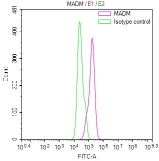 Anti-ADAM10 Recombinant Monoclonal, clone 6A8