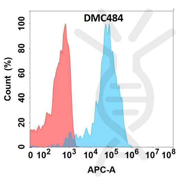 Anti-CDH1 antibody(DMC484), IgG1 Chimeric mAb