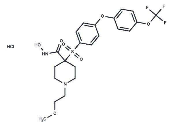 SD-2590 HCl