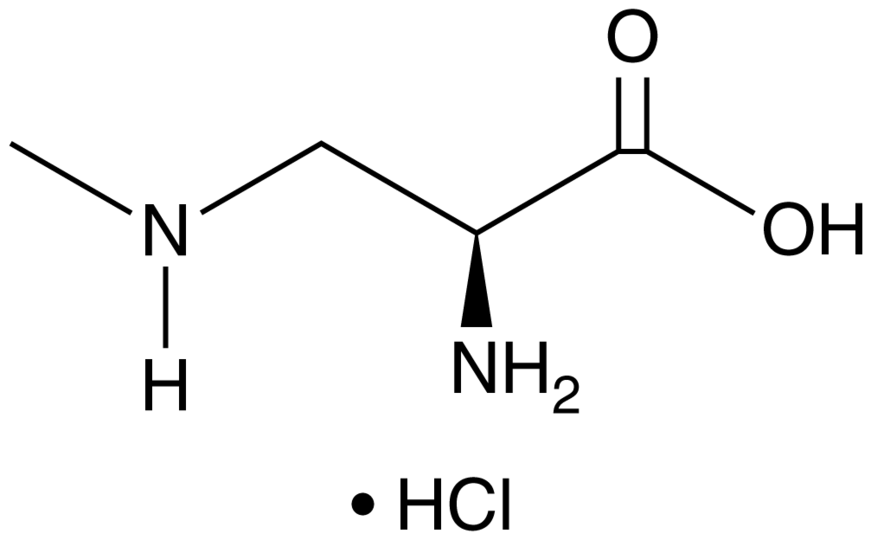 Beta Methylamino L Alanine Hydrochloride Cas 16012 55 8 Cayman Chemical Biomol De